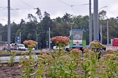 <span>Węzeł Głębokie - sierpień 2021 r. (7)</span>