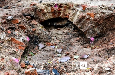 <span>Plac Orła Białego 5</span>