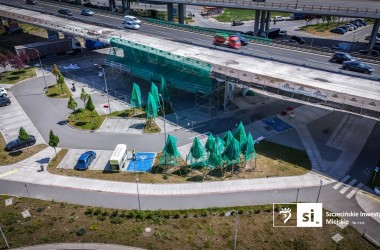 <span>Zielona ochrona: drzewa pod specjalnym nadzorem przy Trasie Zamkowej 7</span>