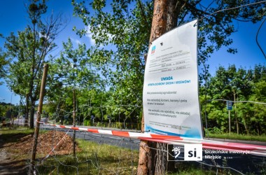 <span>Ścieżka rowerowa na Bogumińskiej 11</span>