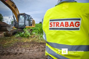 <span>Zielony intruz pod lupą: sprawdzamy grunt gdzie rośnie rdestowiec 3</span>
