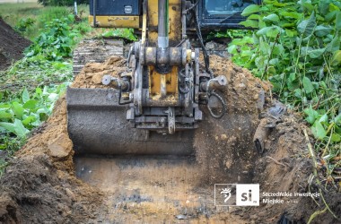 <span>Zielony intruz pod lupą: sprawdzamy grunt gdzie rośnie rdestowiec 6</span>