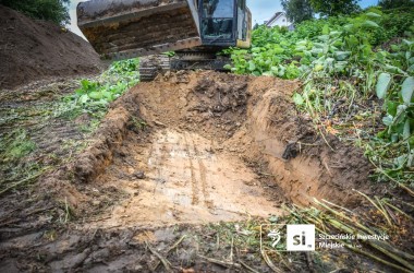 <span>Zielony intruz pod lupą: sprawdzamy grunt gdzie rośnie rdestowiec 7</span>