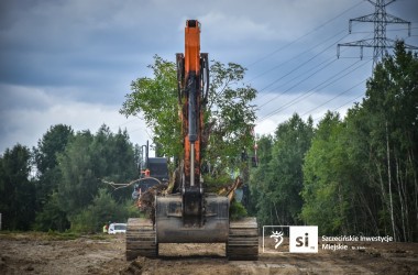 <span>Mrówki na przeprowadzce 8</span>