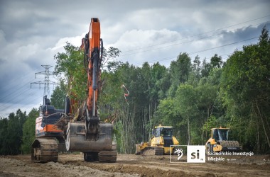 <span>Mrówki na przeprowadzce 9</span>