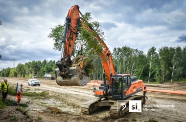 <span>Mrówki na przeprowadzce 10</span>