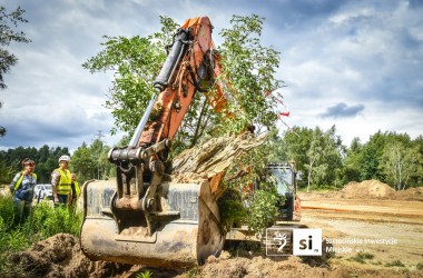 <span>Mrówki na przeprowadzce 12</span>