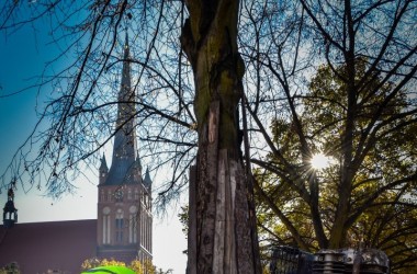 <span>Plac Orła Białego 3</span>