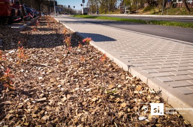 <span>Bogumińska 5</span>