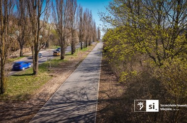 <span>Bogumińska 11</span>