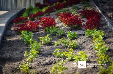 <span>Plac Orła Białego 1</span>