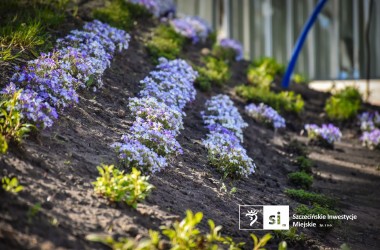 <span>Plac Orła Białego 3</span>