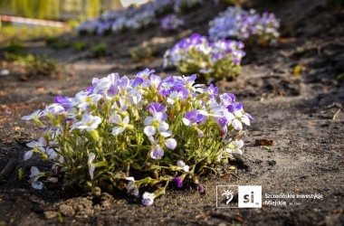 <span>Plac Orła Białego 4</span>