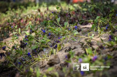 <span>Plac Orła Białego 5</span>