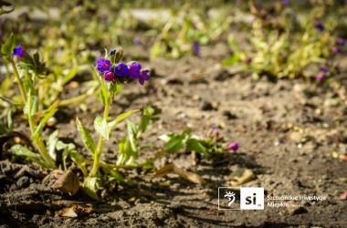 <span>Plac Orła Białego 6</span>