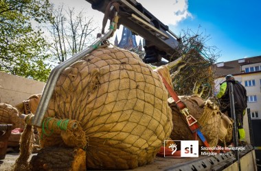 <span>Plac Orła Białego 7</span>