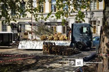 <span>Plac Orła Białego 8</span>