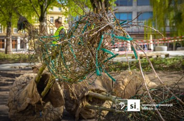 <span>Plac Orła Białego 9</span>