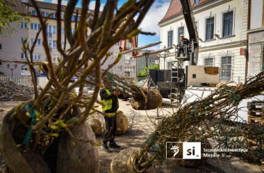 <span>Plac Orła Białego 11</span>