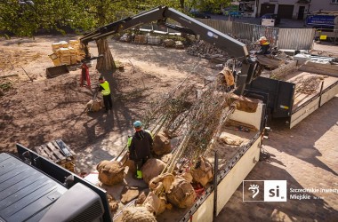 <span>Plac Orła Białego 14</span>